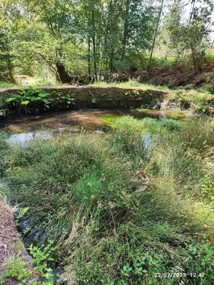a small pond in a field with grass and trees at Mondariz Donde el Agua es Vida in Mondariz