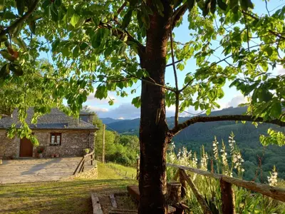 a house in the mountains with a tree at Casa da Costa de Sueiro in Sueiro
