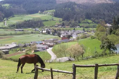 a horse grazing in a field next to a fence at Casa de Aldea Carboneiro in Naraval