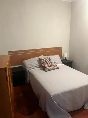 a bed with a pillow on it in a bedroom at Piso pineda in Monforte de Lemos