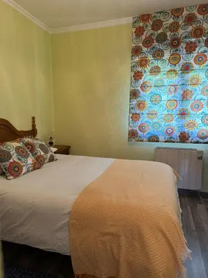 a bedroom with a bed and a painting on the wall at casa carmiña in Ourense
