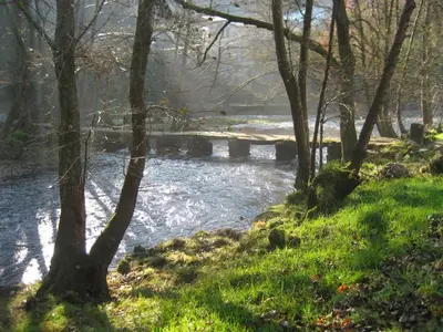 a river in the middle of a field with trees at Molino cascada de caldas de reyes in Caldas de Reis