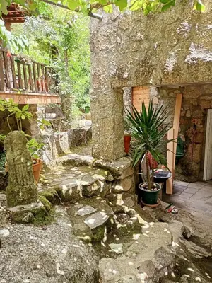 a garden with a stone house with a potted plant at Molino cascada de caldas de reyes in Caldas de Reis