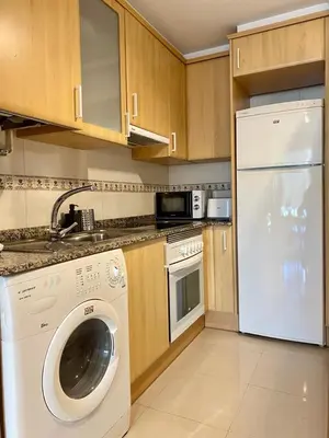 a kitchen with a washer and a white dishwasher at Andainas A in Milladoiro