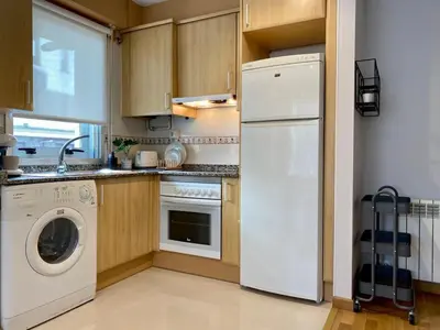 a kitchen with a white refrigerator and a dishwasher at Andainas G in Milladoiro