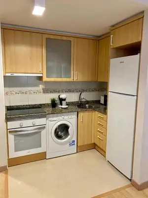 a kitchen with a white refrigerator and a dishwasher at Andainas B in Milladoiro