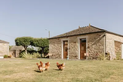 two chickens standing in a yard in front of a stone house at Casa do Cuco - Rural house in Friol