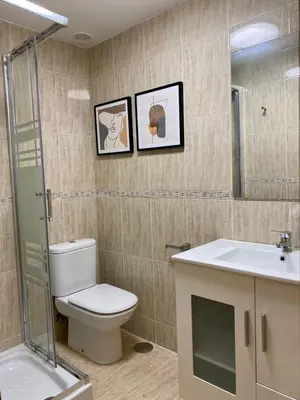 a bathroom with a toilet and a sink and a mirror at Andainas F in Milladoiro