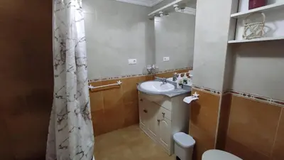 a bathroom with a sink and a toilet and a shower curtain at Apartamento terra1 in Caldas de Reis