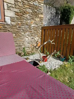a pink table and a chair in a yard at Casanova1914 in Villatuge