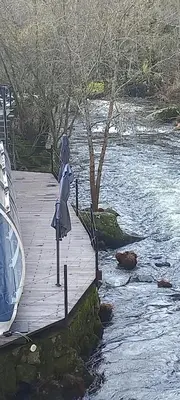 a wooden walkway next to a river with a boat at Piso Villa Aurora in Carballino