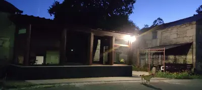 a dog standing in front of a building at night at WITERICUS hospedaxe in Guitiriz