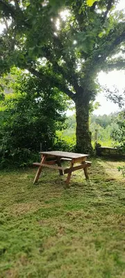 a wooden picnic table sitting under a tree at WITERICUS hospedaxe in Guitiriz