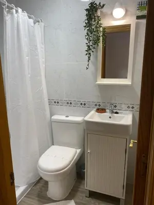 a bathroom with a toilet and a sink at La Casina de Somiedo in Pola de Somiedo