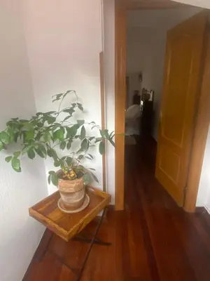 a potted plant sitting on a table in a hallway at La Casina de Somiedo in Pola de Somiedo