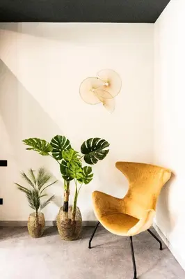 a chair and two plants in a room at Coliving Compostela in Santiago de Compostela