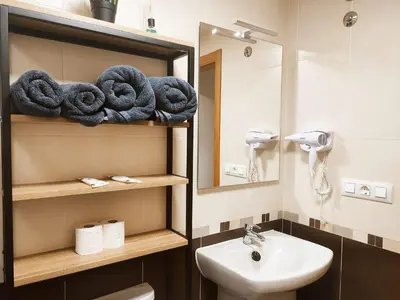 a bathroom with a sink and a toilet and a mirror at milla sonsuites in Milladoiro