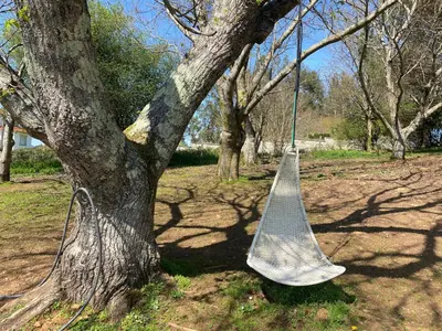 a net hanging from a tree in a park at Magnífica casa independiente by beBalmy in Santiago de Compostela