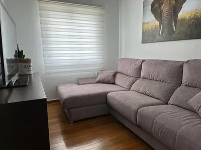 a living room with a couch and a picture of an elephant at Ensino 22 in Ourense