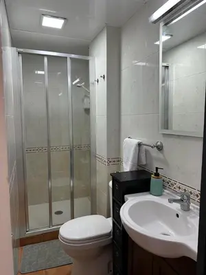 a bathroom with a shower and a toilet and a sink at Ensino 22 in Ourense