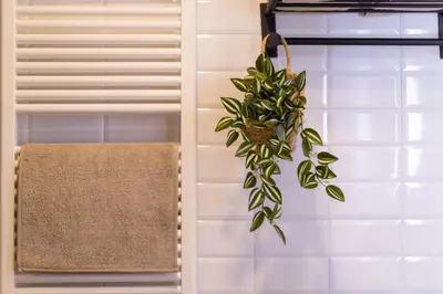 a plant hanging from a towel rack in a bathroom at Apartamentos Gurugú in Ribadeo