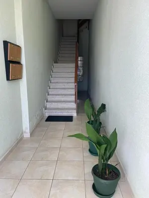 a hallway with a staircase and a potted plant at PISO MANCE in Allariz