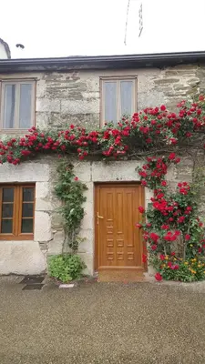 a building with red flowers on the side of it at Pensión Albergue A Pedra in Sarria