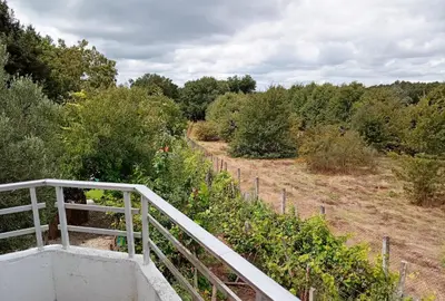 a staircase leading to a garden with trees and bushes at Casa campo con piscina La Arboleda in Amoeiro