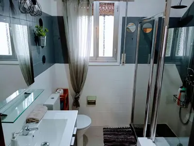 a bathroom with a shower and a sink and a toilet at Casa campo con piscina La Arboleda in Amoeiro