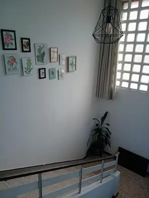a room with a white wall with a potted plant at Casa campo con piscina La Arboleda in Amoeiro