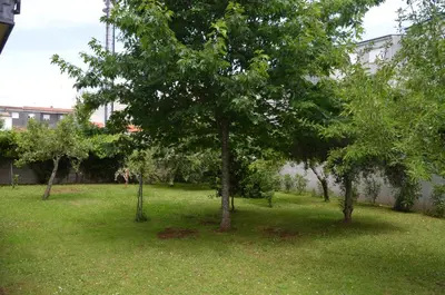 a group of trees in a field of grass at Casa Matilde de Melide in Melide