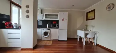 a kitchen with a refrigerator and a table and a washer at Estudio céntrico con terraza in Xinzo de Limia