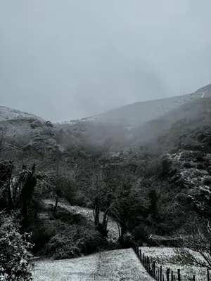 a black and white photo of a valley with trees at A Barreira -Lar da cima- in Folgoso