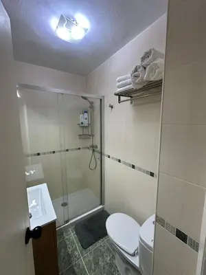 a bathroom with a shower and a toilet and a sink at Piso da Ulla in A Estrada