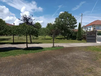 a driveway with two trees in a park at Casa das Capelas in Villamarín