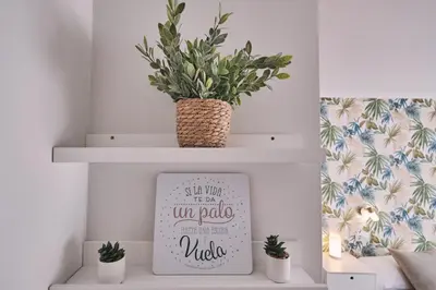 a shelf with a plant and a picture on it at Peregrina Pensión 5 in O Pedrouzo
