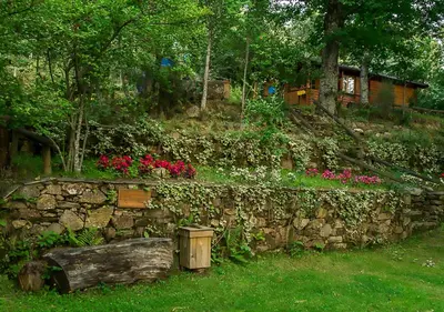 a stone retaining wall with flowers and a garden at Cabañas de Madera Sanabria in Vigo de Sanabria