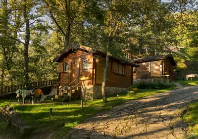 a log cabin in the woods next to a road at Cabañas de Madera Sanabria in Vigo de Sanabria