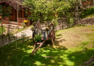 a wooden cart in the grass in a yard at Cabañas de Madera Sanabria in Vigo de Sanabria