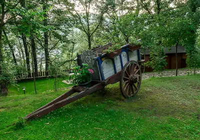 a statue of a wooden cart in a field at Cabañas de Madera Sanabria in Vigo de Sanabria