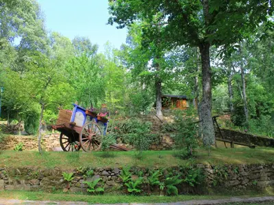 an old carriage in a park with a tree at Cabañas de Madera Sanabria in Vigo de Sanabria