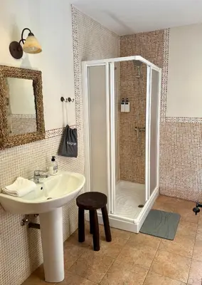 a bathroom with a shower and a sink and a toilet at Casa El Colibrí in Villafranca del Bierzo