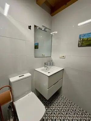 a white bathroom with a toilet and a sink at Casa AsCampinas in Ourense