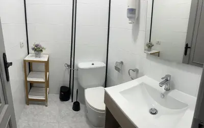 a white bathroom with a toilet and a sink at Viviendas vacacionales as lagas in Palas de Rei