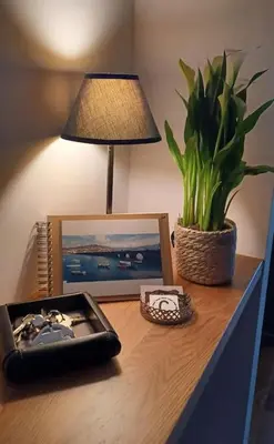 a desk with a lamp and a picture and a plant at Piso con preciosas vistas, patio privado y amplio garaje in Puentedeume