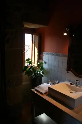 a bathroom with a sink and a mirror and a plant at A Casa da Tulla in Gomesende