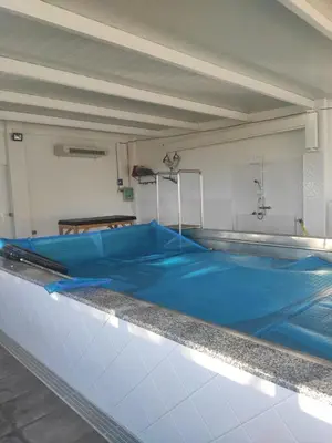 a swimming pool with a blue floor in a room at Casa da Pinguela Camino Inglés in Ordes