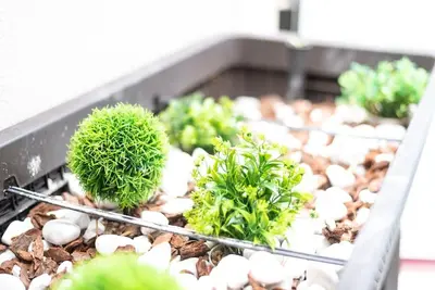 a group of plants in a tray with rocks at Apartamento Las Candelas, Ares in Ares