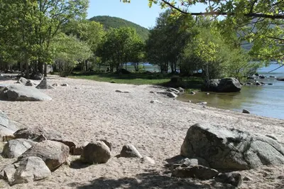 a sandy beach with rocks and trees and water at El Descanso de Sanabria in Trefacio