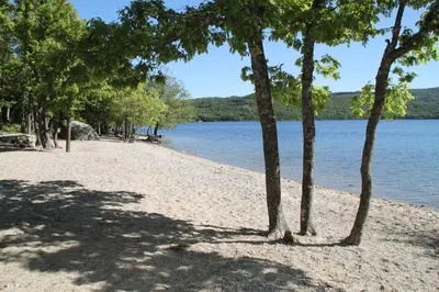 a beach with trees on the shore of a lake at El Descanso de Sanabria in Trefacio
